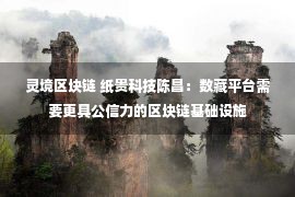 灵境区块链 纸贵科技陈昌：数藏平台需要更具公信力的区块链基础设施