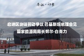 启迪区块链劳动争议 巴基斯坦总理会见国家能源局局长努尔·白克力