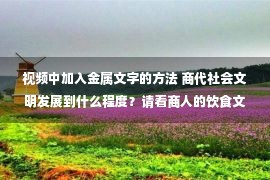 视频中加入金属文字的方法 商代社会文明发展到什么程度？请看商人的饮食文化