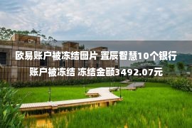 欧易账户被冻结图片 置辰智慧10个银行账户被冻结 冻结金额3492.07元