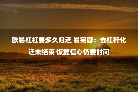 欧易杠杠要多久归还 易宪容：去杠杆化还未结束 恢复信心仍要时间