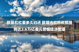 欧易杠杠要多久归还 欧盟去杠杆化规模将达2.6万亿美元警惕经济倒退