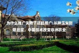 为什么推广失败了还能推广:从种玉米到磨豆浆，中国技术改变非洲农业