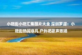 小吃街小吃汇集图片大全 深圳罗湖：小吃街热闹非凡 户外吧歌声悠扬