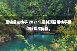 赚钱急速快手 2021年赢利项目用快手极速版提实际操。