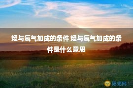 烃与氢气加成的条件 烃与氢气加成的条件是什么意思