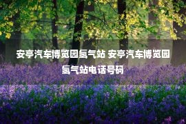 安亭汽车博览园氢气站 安亭汽车博览园氢气站电话号码