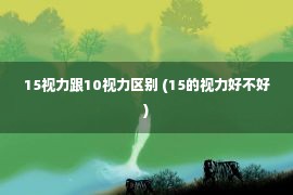 15视力跟10视力区别 (15的视力好不好)