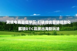 跨境电商最低学历:打破传统营销低效化 解锁DTC品牌出海新玩法