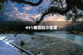 491堪培拉小生意 