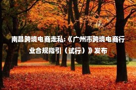 南昌跨境电商走私:《广州市跨境电商行业合规指引（试行）》发布