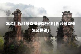 怎么用视频号直播录像赚钱 (视频号直播怎么挣钱)