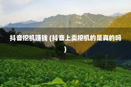 抖音挖机赚钱 (抖音上卖挖机的是真的吗)