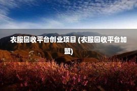 衣服回收平台创业项目 (衣服回收平台加盟)