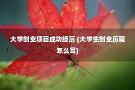 大学创业项目成功经历 (大学生创业历程怎么写)