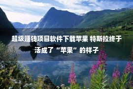 超级赚钱项目软件下载苹果 特斯拉终于活成了“苹果”的样子