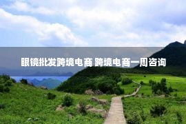 眼镜批发跨境电商 跨境电商一周咨询