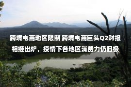 跨境电商地区限制 跨境电商巨头Q2财报相继出炉，疫情下各地区消费力仍旧极高！