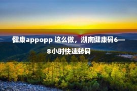 健康appopp 这么做，湖南健康码6—8小时快速转码