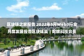 区块链之家报告 2022年5月Web3行业月度发展报告区块链篇｜陀螺科技会员专享