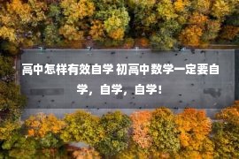 高中怎样有效自学 初高中数学一定要自学，自学，自学！