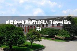 编程自学老师推荐(编程入门自学书籍推荐)