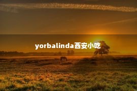 yorbalinda西安小吃