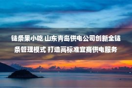 链条果小吃 山东青岛供电公司创新全链条管理模式 打造高标准宜商供电服务