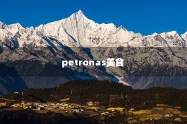 petronas美食 