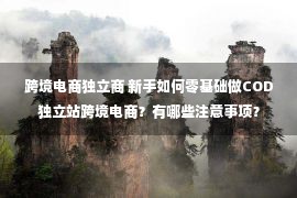 跨境电商独立商 新手如何零基础做COD独立站跨境电商？有哪些注意事项？