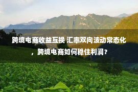 跨境电商收益互换 汇率双向波动常态化，跨境电商如何稳住利润？