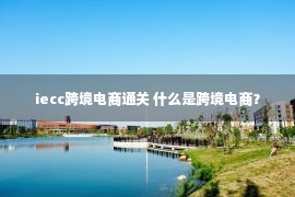 iecc跨境电商通关 什么是跨境电商？