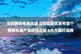 深圳跨境电商珑通 深圳盐田区发布首个跨境电商产业扶持政策 6大方面打造跨境电商生态圈