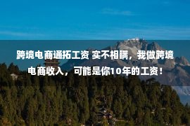 跨境电商通拓工资 实不相瞒，我做跨境电商收入，可能是你10年的工资！