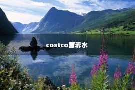 costco营养水 