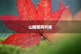 山姆团购对接 