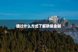 通过什么方式了解欧易金融 