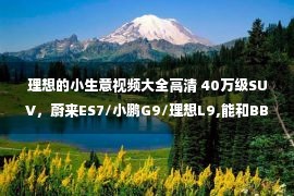 理想的小生意视频大全高清 40万级SUV，蔚来ES7/小鹏G9/理想L9,能和BBA抢生意吗