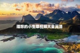 理想的小生意视频大全高清 