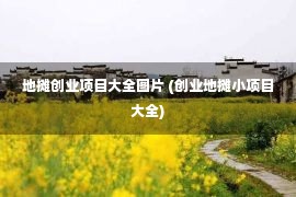 地摊创业项目大全图片 (创业地摊小项目大全)