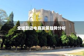 全域联动电商发展趋势分析 