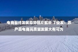 电商最终发展趋势图片解析 丁俊发：农产品电商高质量发展大有可为