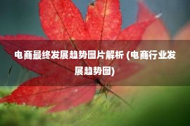 电商最终发展趋势图片解析 (电商行业发展趋势图)