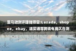 亚马逊测评赚钱项目:Lazada，shopee，ebay，速买通等跨境电商仄台测评怎么干？