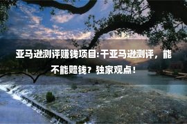 亚马逊测评赚钱项目:干亚马逊测评，能不能赔钱？独家观点！