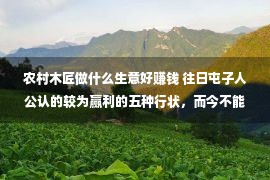 农村木匠做什么生意好赚钱 往日屯子人公认的较为赢利的五种行状，而今不能了