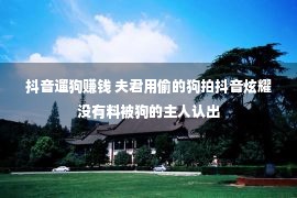 抖音遛狗赚钱 夫君用偷的狗拍抖音炫耀没有料被狗的主人认出