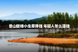 鲁山做啥小生意挣钱 年轻人怎么赚钱