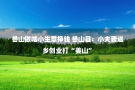 鲁山做啥小生意挣钱 鲁山县：小夫妻返乡创业打“姜山”