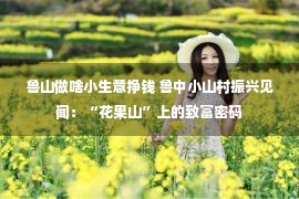 鲁山做啥小生意挣钱 鲁中小山村振兴见闻：“花果山”上的致富密码